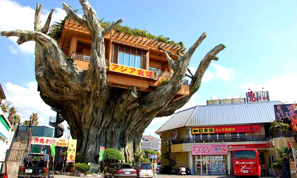Ресторан Naha Harbor Diner, Япония